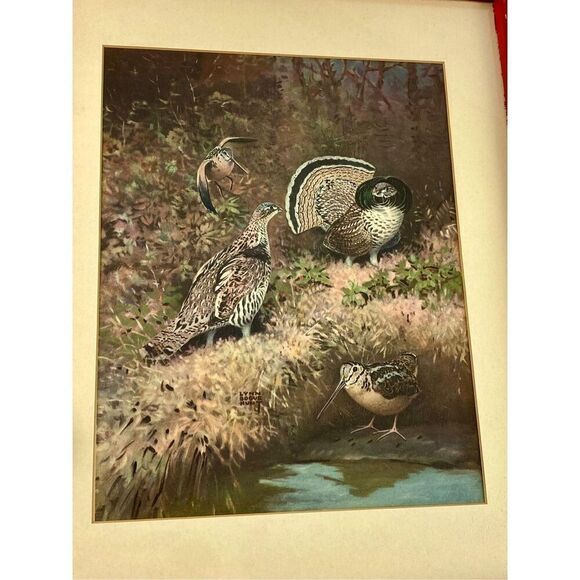 1945 Lynn Bogue Hunt Signed Print Matted & Framed Red 19.5 x 16 Frame - Picture 2 of 7